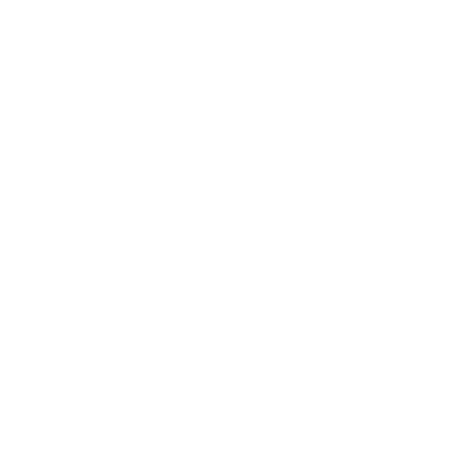 Roque the House logo